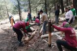 Brigadistas trabajando en el bosque de Tlalpan