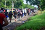 Migrantes caminan en la carretera