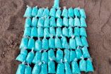 Bolsas de pastillas de fentanilo decomisadas en México.
