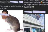 Publicación de Facebook con imagen de roedor y rostro de mujer