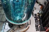 El acuario AquaDom era uno de los más grandes del mundo por su altura y densidad. (AFP)