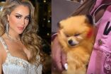 Ninel Conde pinta a su perrito como Pikachu
