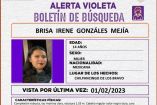 Brisa Irene Gonzáles Mejía niña desaparecida