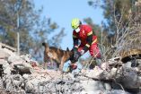 Binomio canino de la Cruz Roja trabajando en Turquía