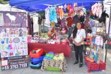 Bazar Coyote Enamorado Neza 2023