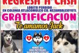 Familia de Jack pide ayuda para localizar a uno de los integrantes de familia.