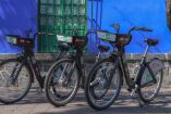 Ecobici en Coyoacán 