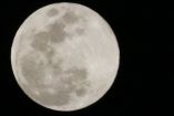 La Luna de Gusano es la última Luna llena del invierno