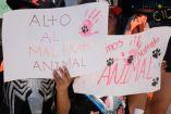 Manifestantes exigen justicia por maltrato animal