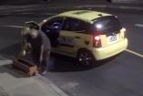 Taxista roba maceta de la calle