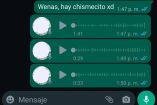 Chat de WhatsApp con mensajes de audios 