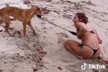 perrita desnuda a mujer