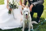 boda con mascotas