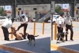 Elementos de seguridad golpean a indigente en supermercado