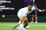 Novak Djokovic en su partido ante Jannik Sinner en Wimbledon
