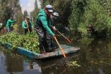 Canales de Xochimilco.