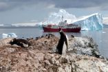 Los pingüinos emperador ahora están en riesgo de la extinción. (AFP)