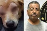 Detienen agresor rirri perrito atacado ojos sonora