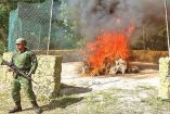 El Ejército mexicano incineró el pasado jueves, en Cancún, más de 200 kilos de narcóticos incautados en los últimos meses en Quintana Roo