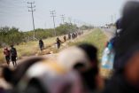 Coahuila implementa operativo para evitar que migrantes viajen en el lomo del tren de carga. / Foto: Reuters