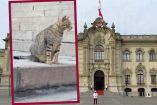 Panchito, el gatito que vive en el Palacio de Gobierno de Perú. (Especial)