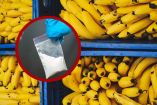 Cargamento de platanos con bolsa de cocaína.