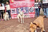 Habitantes de Xochimilco protestan con algunos perros.