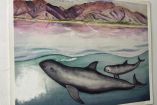 pintura de la vaquita marina.