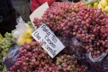 La tradición de comer uvas al son de las campanadas es la forma de dirigir un año con prosperidad y buena suerte. 