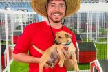 Mr.Beast con perro en las manos