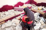 Una mujer sostiene a un niño mientras revisa escombros en un inmueble en Rafá.