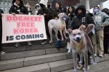 Corea del Sur ya prohibió el consumo de carne de perro. (AFP)