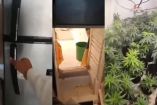 Cultivo de mariguana oculto tras refrigerador en Perú.