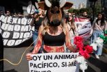 Manifestación contra corridas de toros en la Plaza Mexico