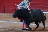 Martí Batres, expresó que 'no debe descartarse que se haga una consulta al respecto de la pertinencia de realizar corridas de toros, sin embargo hay que revisar muy bien los tiempos que marca la ley'.