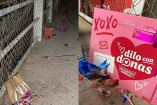 Sorprenden a transeúntes con regalos y globos de San Valentín en puente peatonal de Torreón