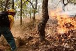 Incendios forestales en Edomex.