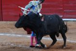 Corridas de toros en CDMX.
