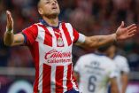 'Chicharito' Hernández celebra gol con Chivas en el Clausura 2024.