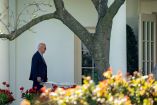 El presidente Joe Biden, vestido con traje oscuro, camina solo por el jardín de la Casa Blanca con árboles y flores floreciendo, simbolizando un retorno a la tradición de transparencia fiscal en la presidencia.
