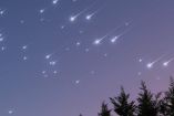 Lluvia de estrellas en el cielo y árbol