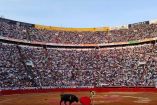 Juez suspende por tercera vez las corridas de toros en la CDMX