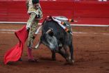 Suspensión provisional contra corridas de toros en Plaza México. 