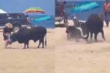 VIDEO: Toro ataca a una mujer en playa de Los Cabos, Baja California Sur