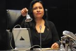 presidenta del Senado, Ana Lilia Rivera,