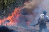 Incendio forestal en un bosque de México
