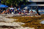 Sargazo en playas de Quintana Roo, México
