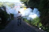 Fumigación por casos de dengue