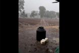 Fuerte lluvia se registra en un campo de cultivo de Tepehuanes, Durango