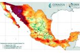 Sonora rompe récord de temperatura en México; llega a 52° C